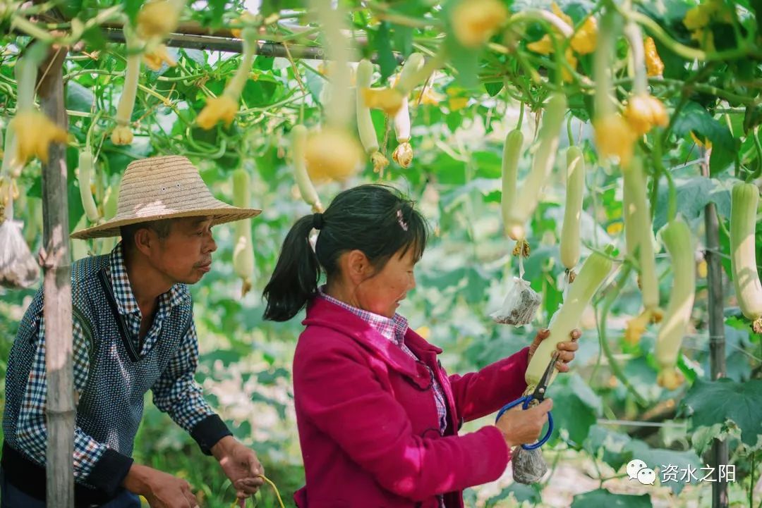 15 15.jpg?v=1765880647888