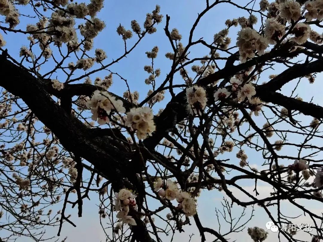 c7431b396b79c5806f5887a45ad39b14_640_wx_fmt=jpeg&wxfrom=5&wx_lazy=1&wx_co=1 c7431b396b79c5806f5887a45ad39b14_640_wx_fmt=jpeg&wxfrom=5&wx_lazy=1&wx_co=1.jpg