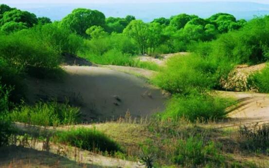 A15.jpg?v=1763520868647