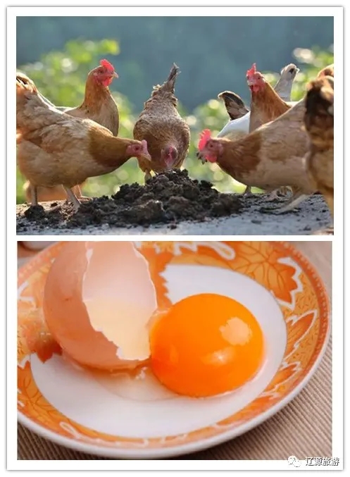 640.webp (14) 640.webp (14)