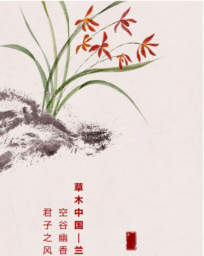 image.png?v=1762124792502