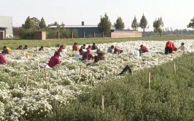 a87d2b2a78b18fcfbce458c5ddbc96a6 a87d2b2a78b18fcfbce458c5ddbc96a6.png