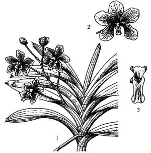 pagenumber_ebook=297,pagenumber_book=297