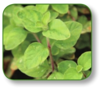 pagenumber_ebook=125,pagenumber_book=112