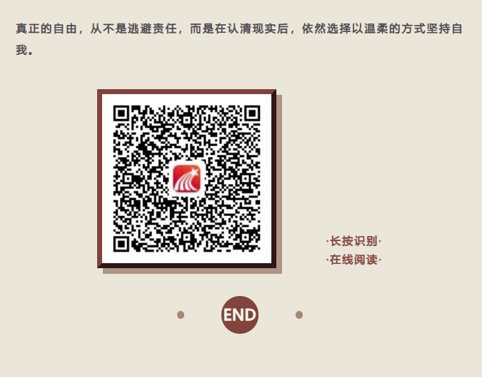 image.png?v=1763525820444