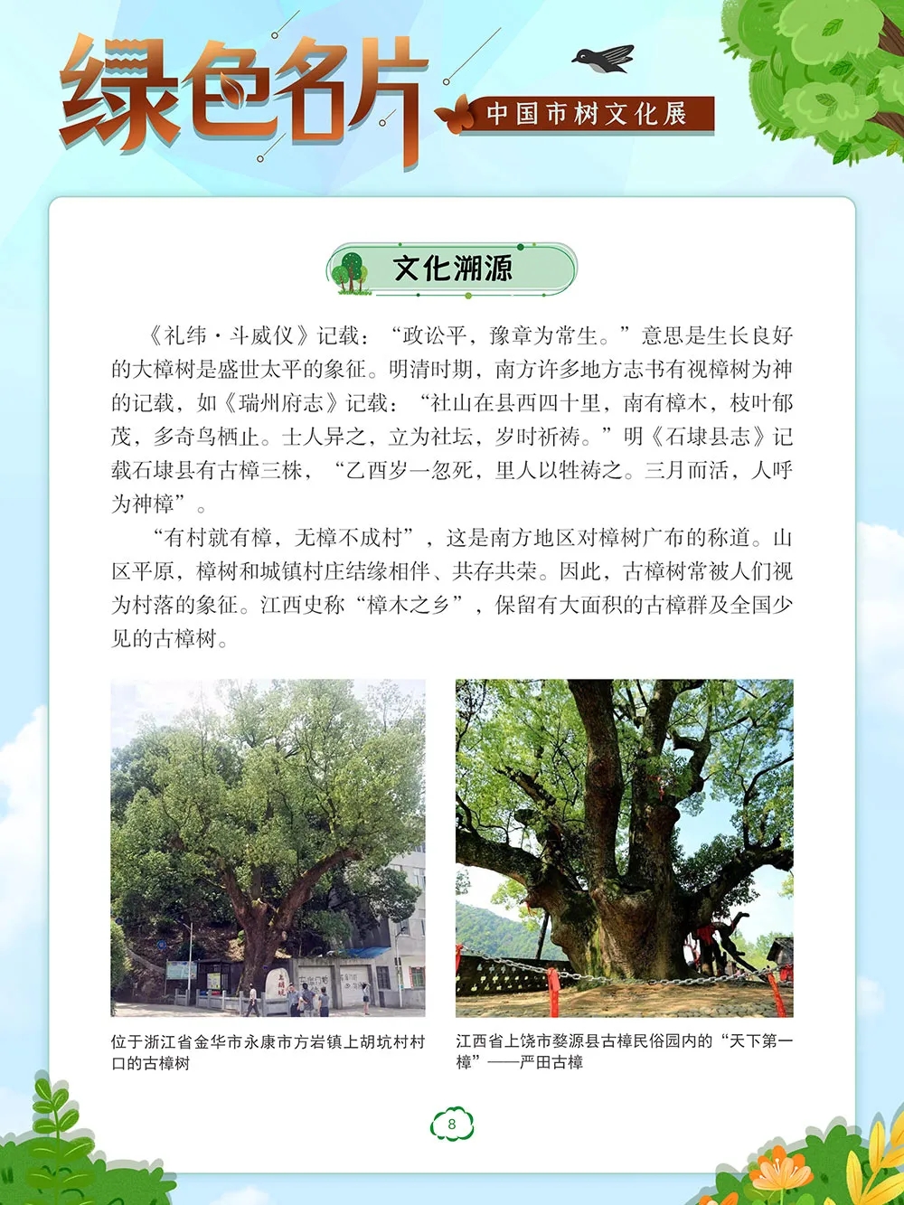 08.webp 08.webp.jpg?v=1762809709749