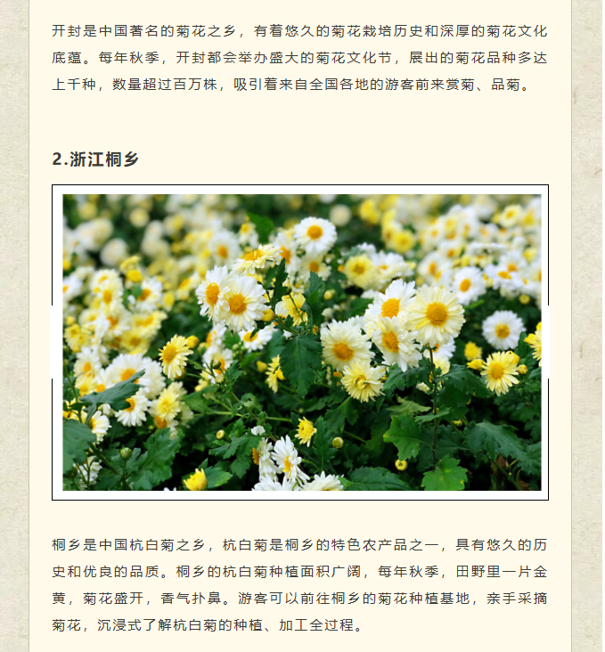 image.png?v=1762100057603