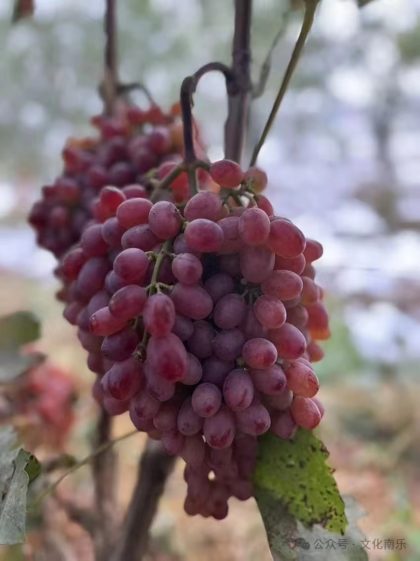 微信图片_20241010153634 微信图片_20241010153634.jpg