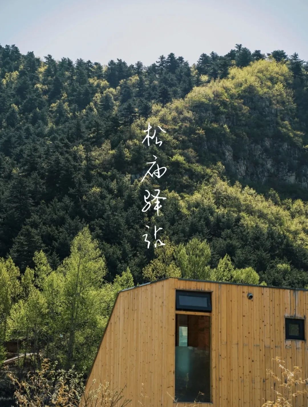 c87e339a604295a079eecd4285862b48_640_wx_fmt=jpeg&wxfrom=5&wx_lazy=1&wx_co=1 c87e339a604295a079eecd4285862b48_640_wx_fmt=jpeg&wxfrom=5&wx_lazy=1&wx_co=1.jpg