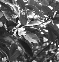 pagenumber_ebook=139,pagenumber_book=139