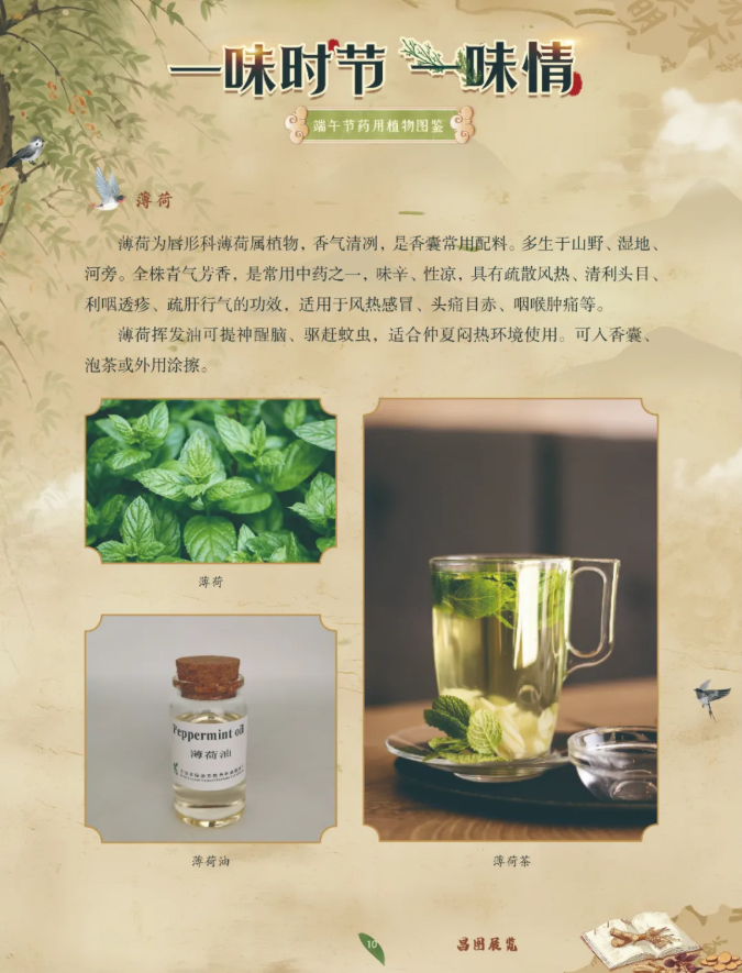 image.png?v=1782174181266