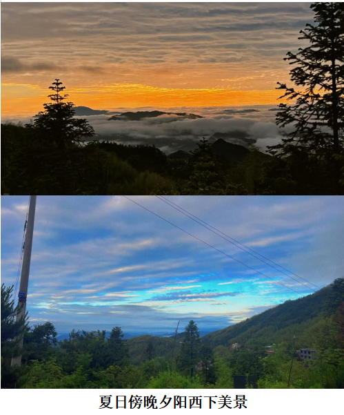 1732190780844 1732190780844.png