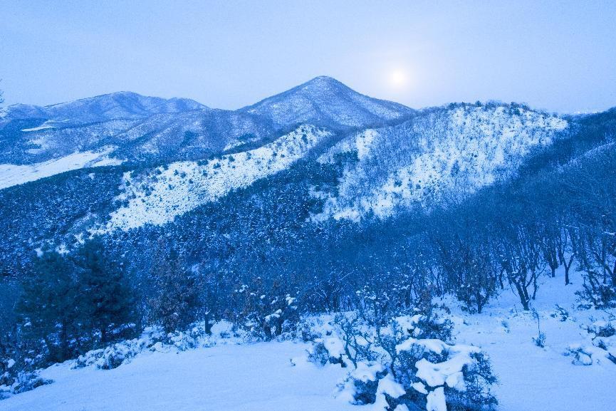 《水墨巴尔虎山》张立彦
