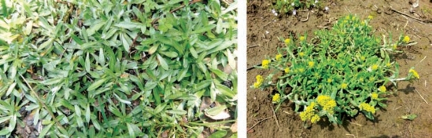 pagenumber_ebook=147,pagenumber_book=139