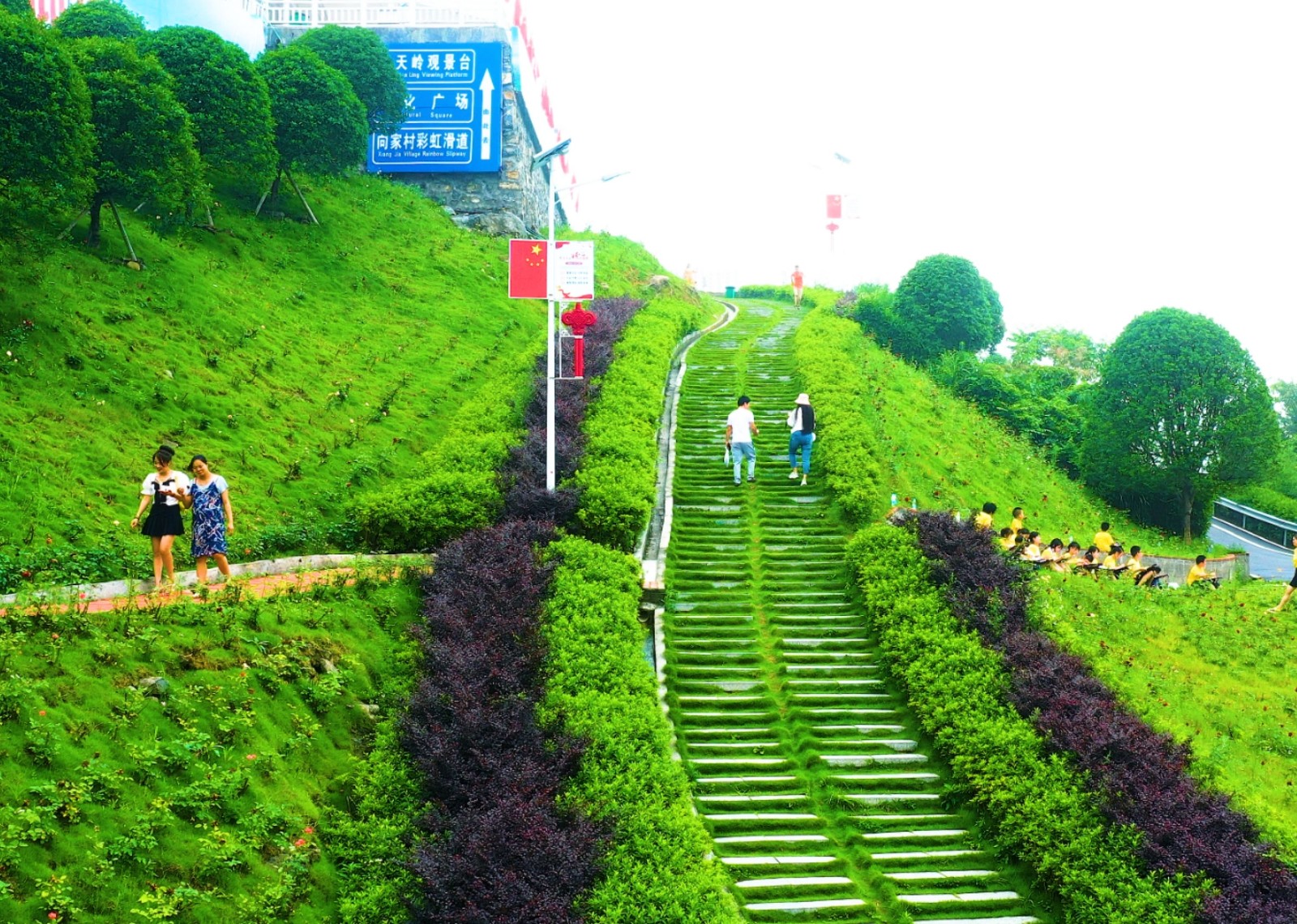 绿色长廊 绿色长廊