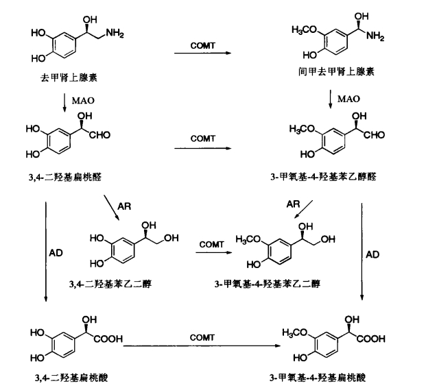 pagenumber_ebook=158,pagenumber_book=140