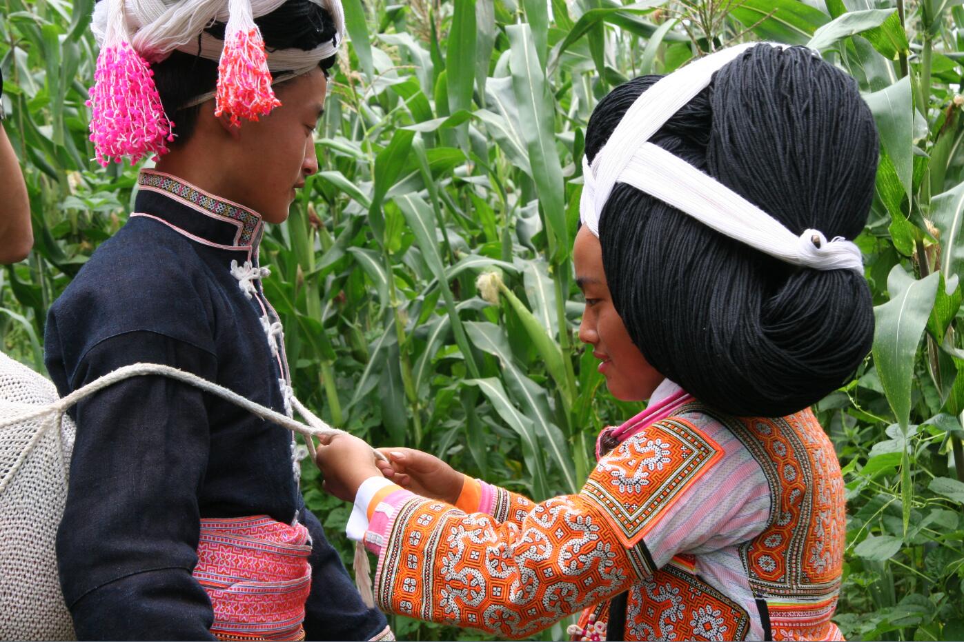 2.4 2.4.jpg?v=1762788190809