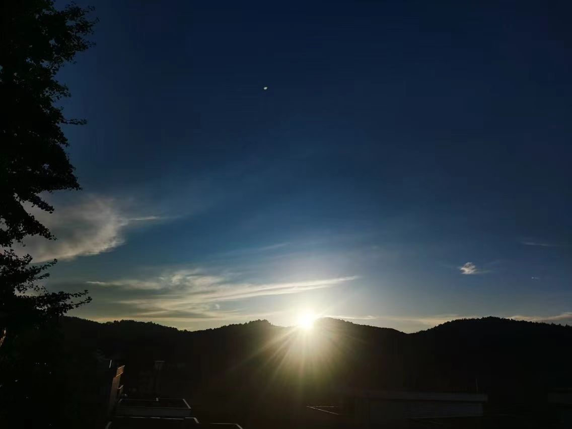 微信图片_20241213111240