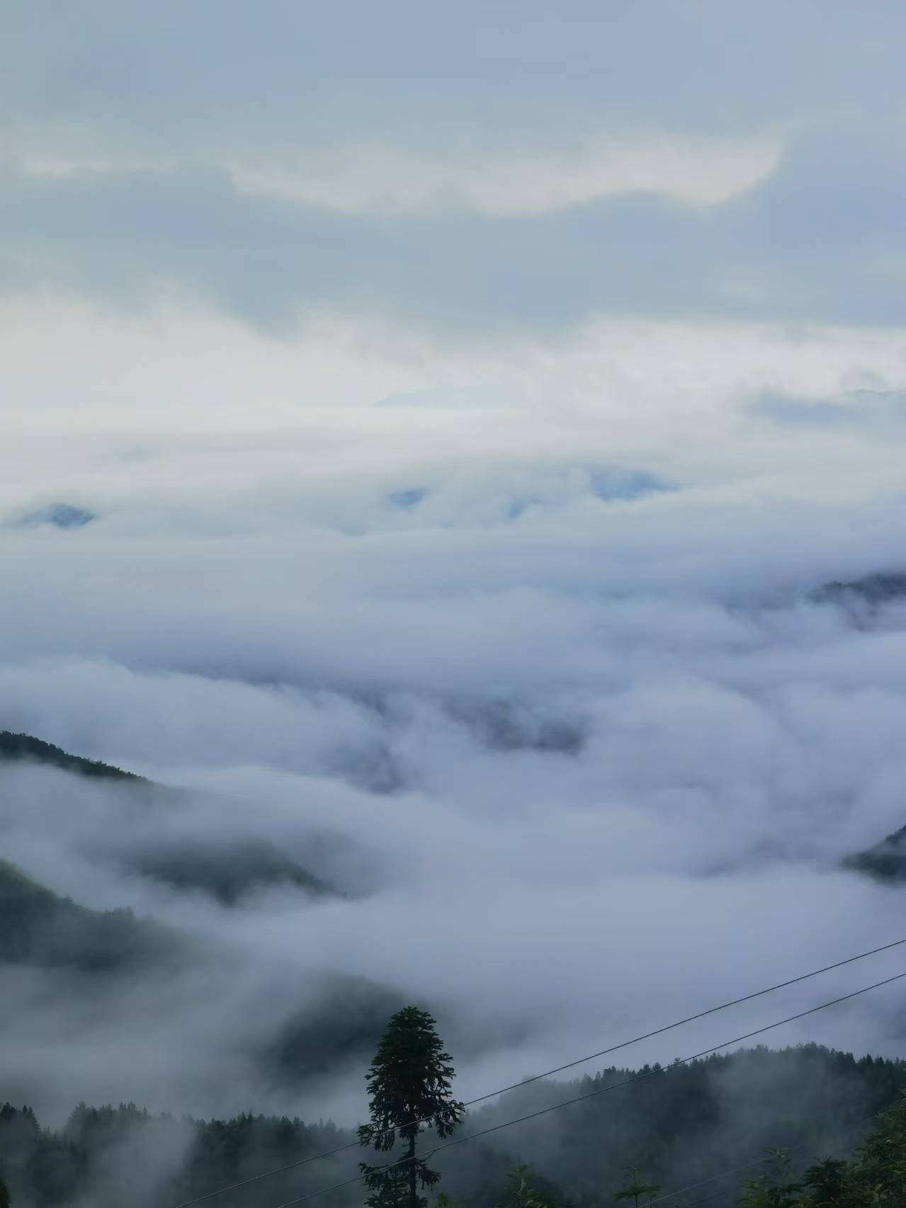 image13 image13.jpeg