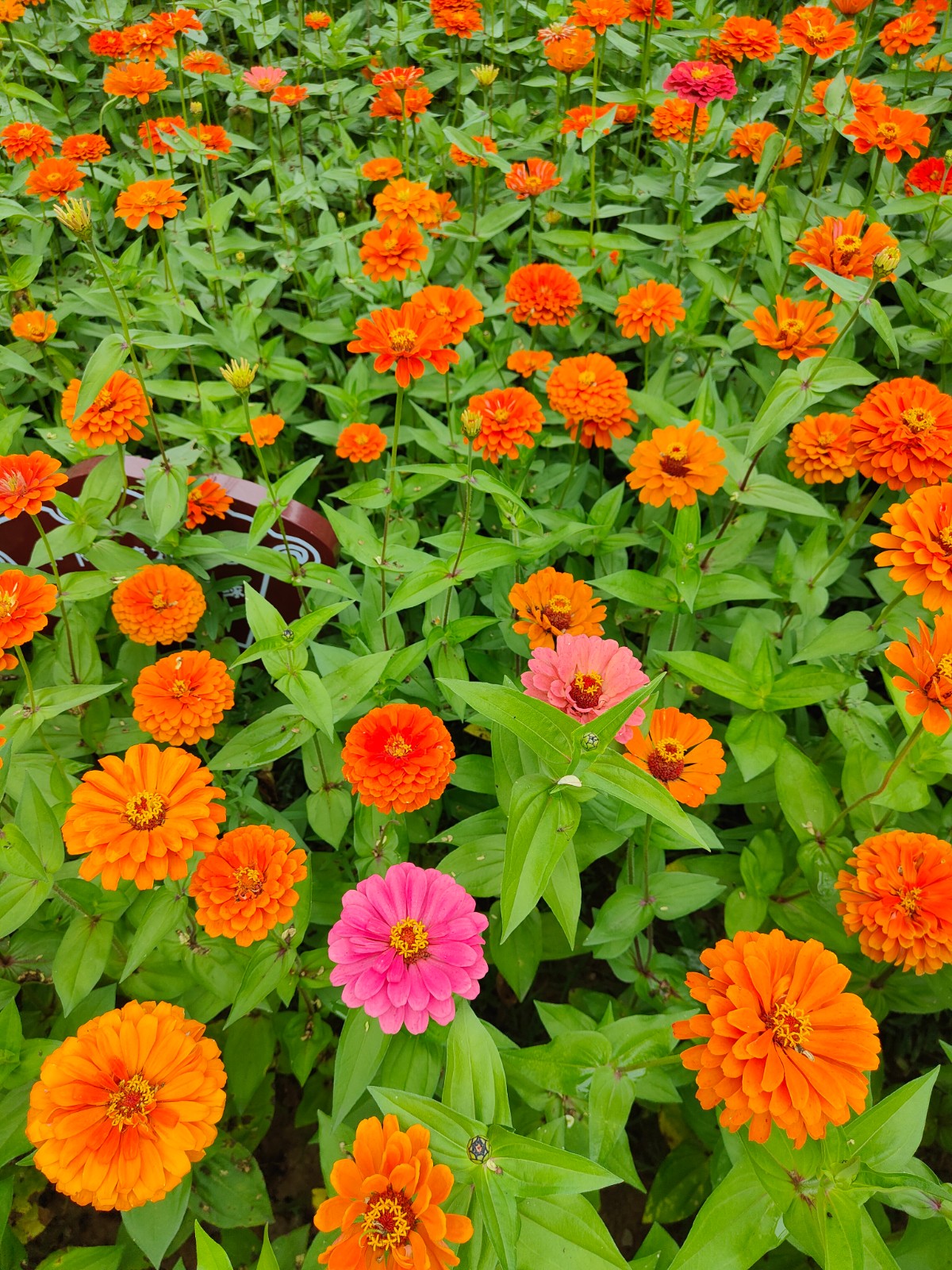 微信图片_20220907091540