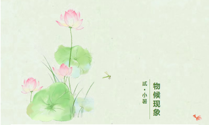 image.png?v=1751535304656