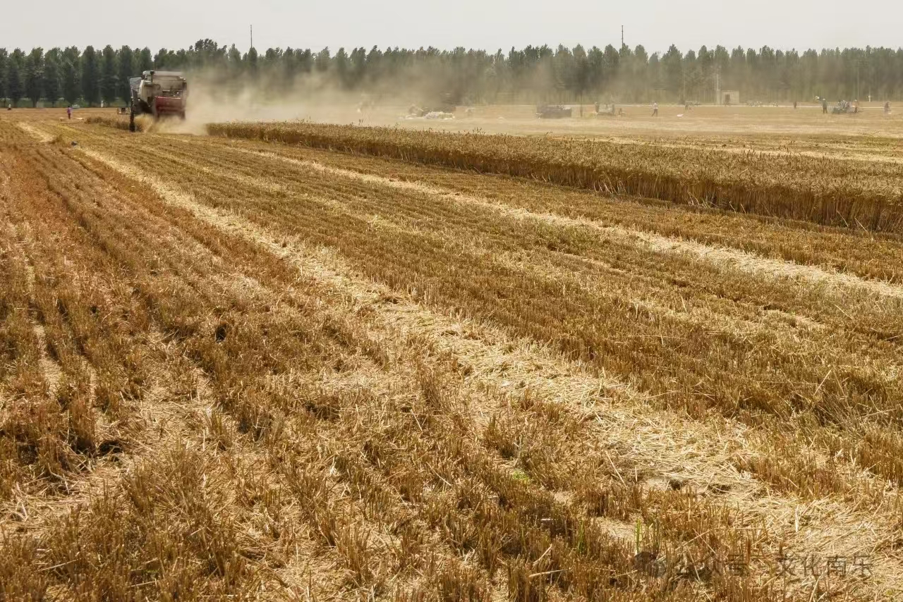 微信图片_20241016090651 微信图片_20241016090651.jpg