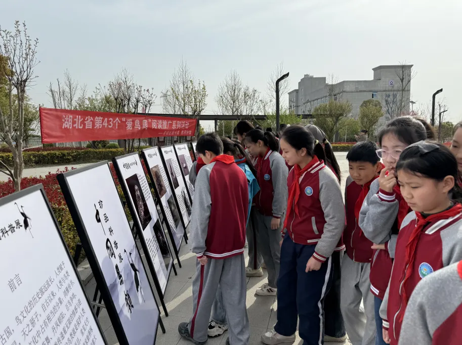 image image.png?v=1762620002033