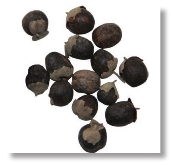 pagenumber_ebook=32,pagenumber_book=19