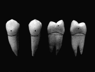 pagenumber_ebook=206,pagenumber_book=197