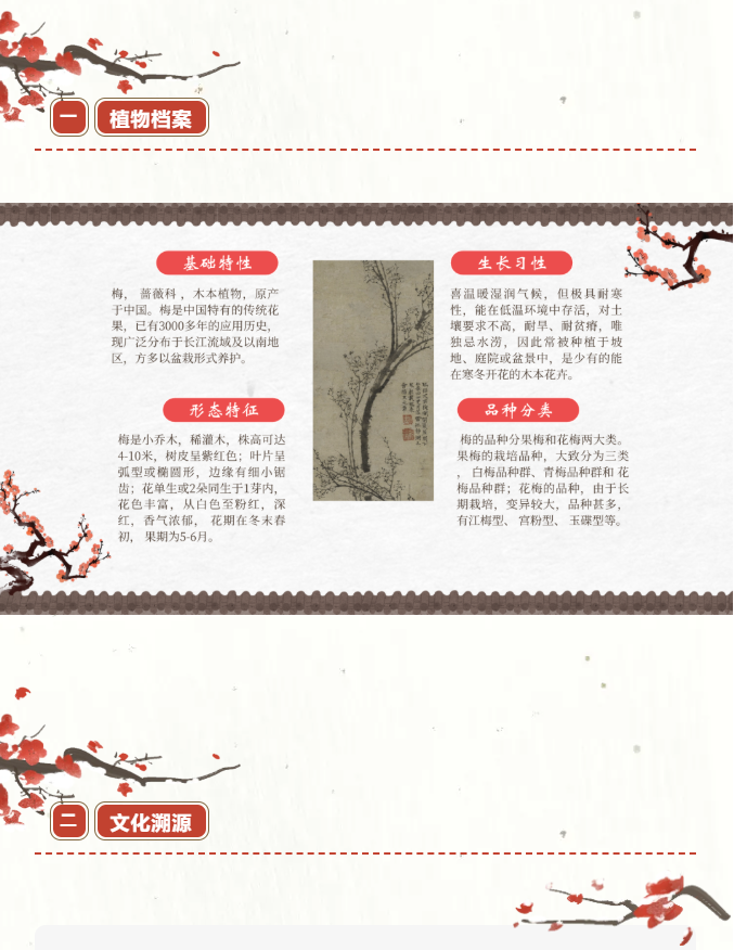 image.png?v=1762124709276