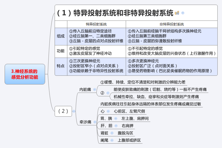 神经系统的感觉功能.jpg