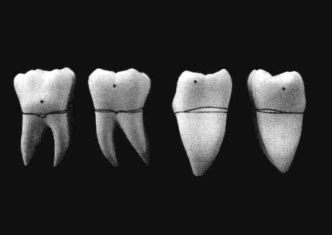 pagenumber_ebook=216,pagenumber_book=207