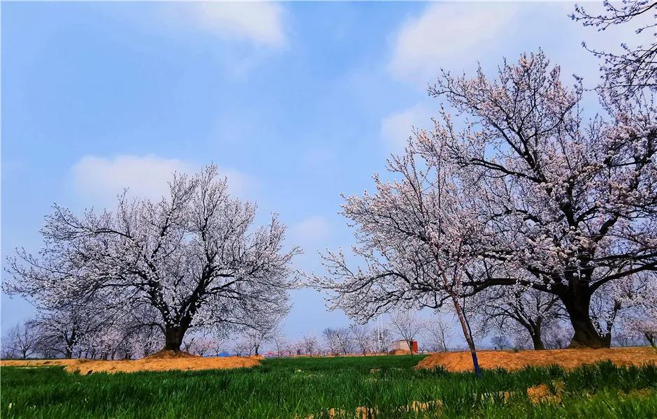 微信图片_20210318082659