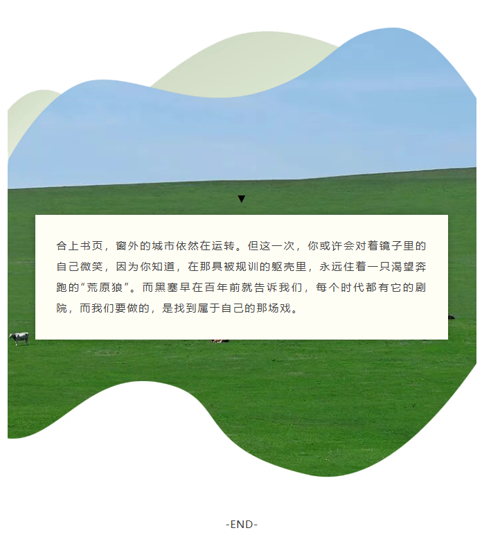 image.png?v=1762125932951