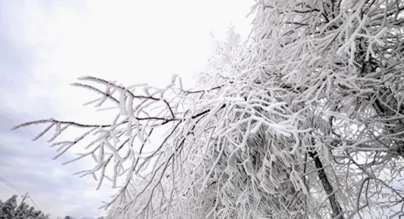 321112322 321112322.jpg