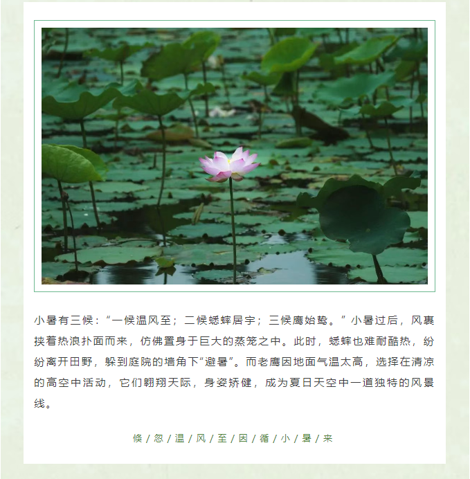image.png?v=1751535304656
