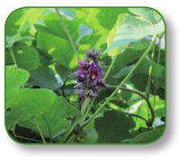 pagenumber_ebook=35,pagenumber_book=22