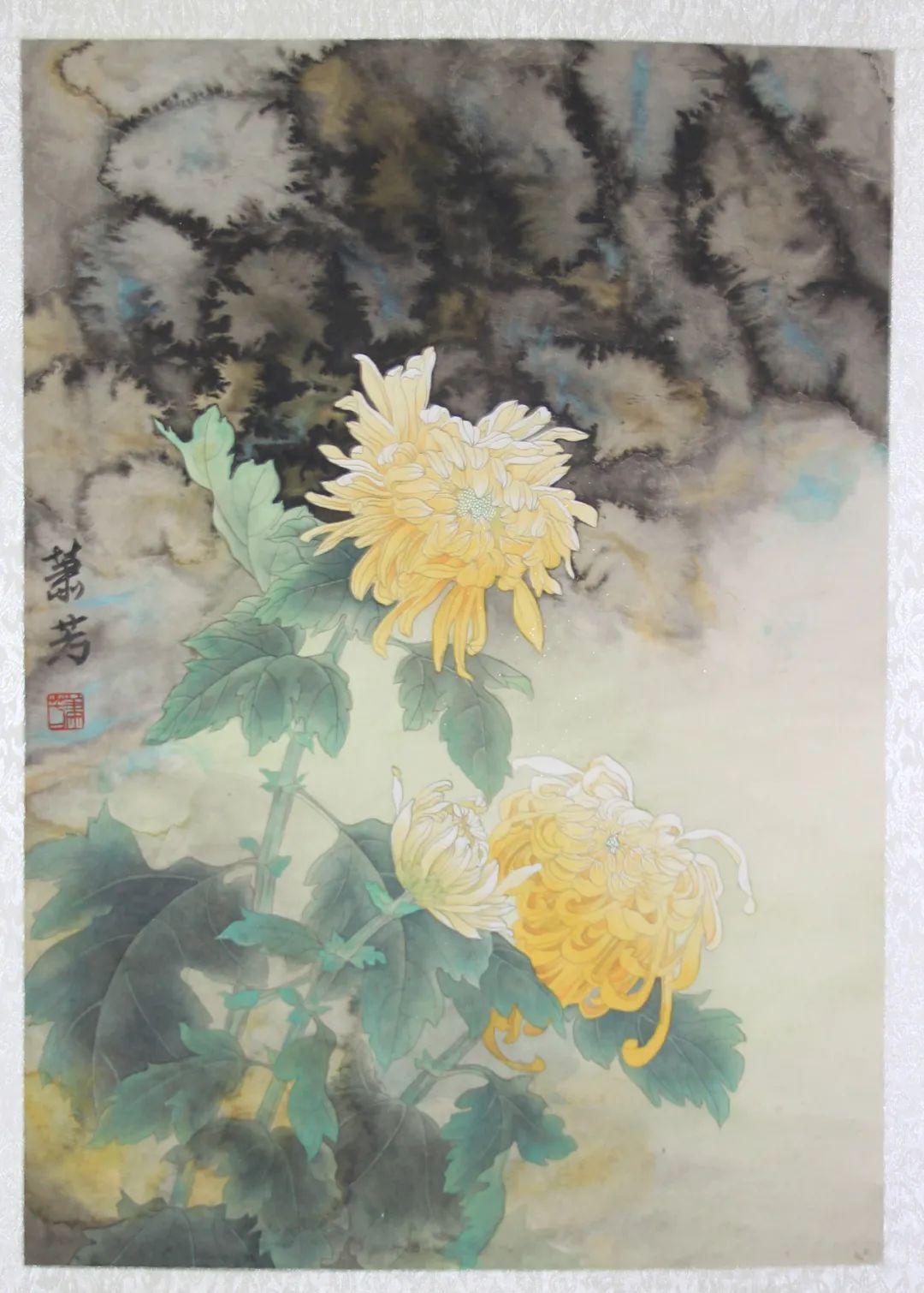 11 11.jpg?v=1762795759136