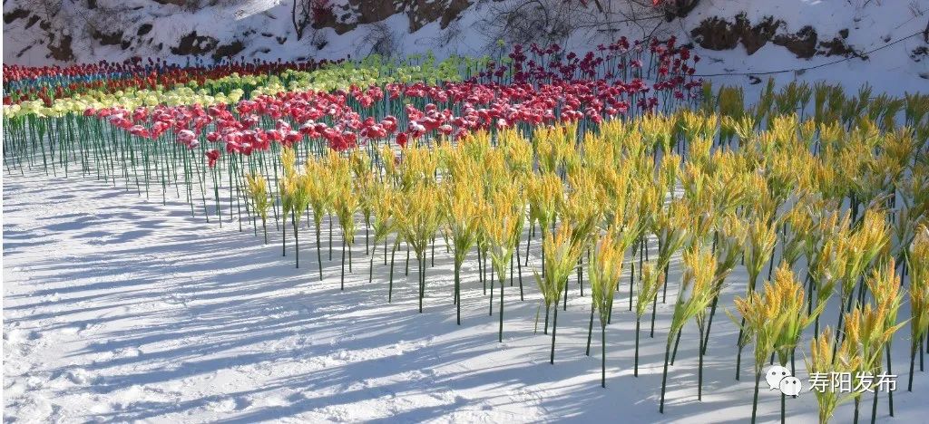 微信图片_20230111162550