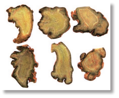 pagenumber_ebook=167,pagenumber_book=154