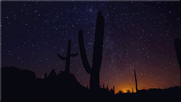 那年第一次尝试用4K视频做的动图