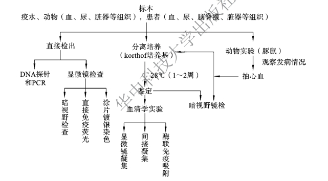 pagenumber_ebook=96,pagenumber_book=89
