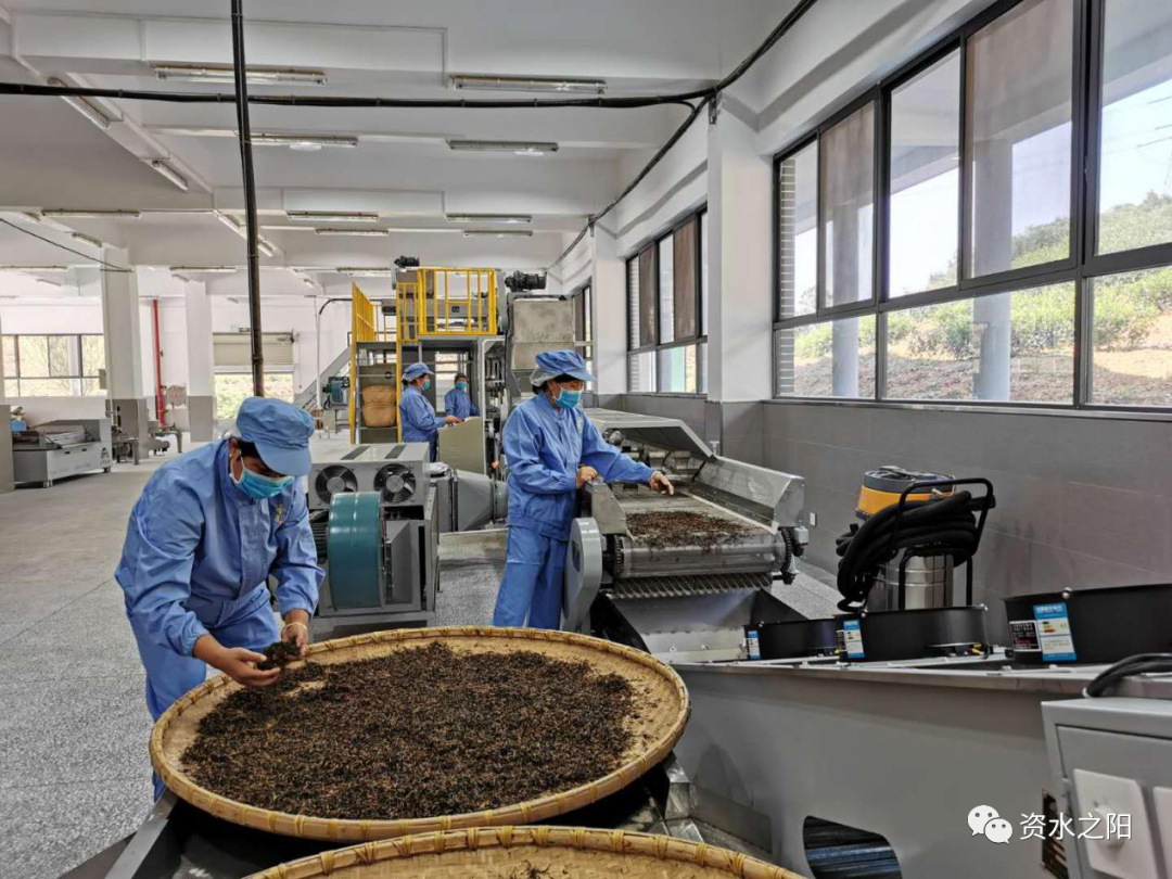 4 4.png?v=1765880751644