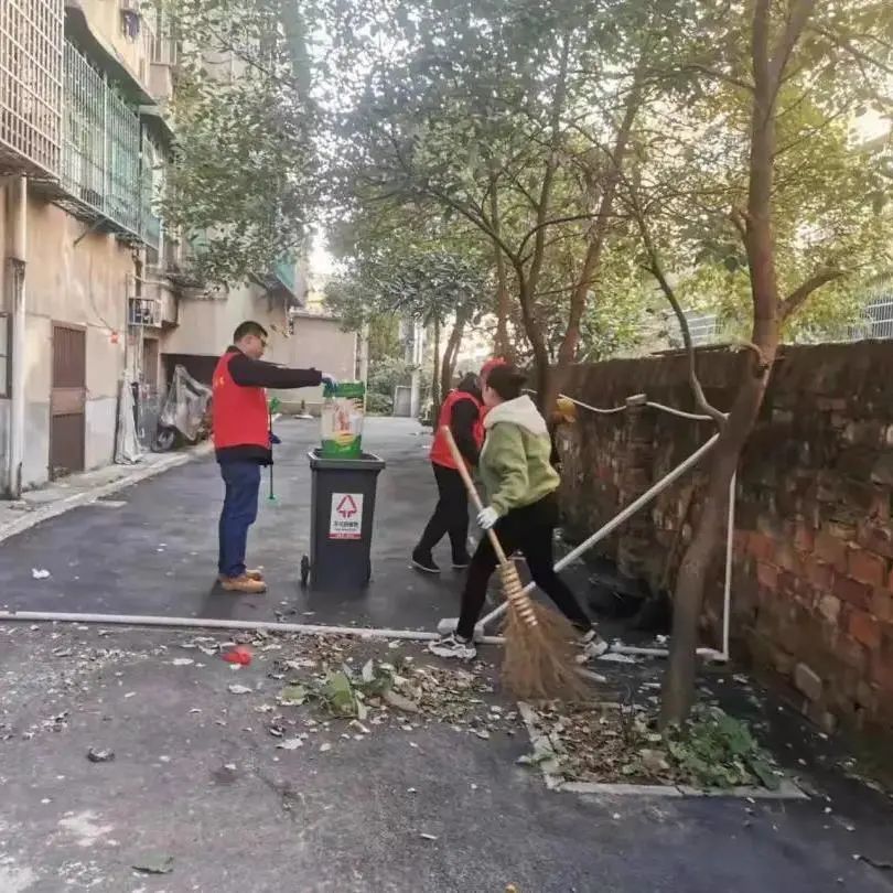 8 8.jpg?v=1765880440281