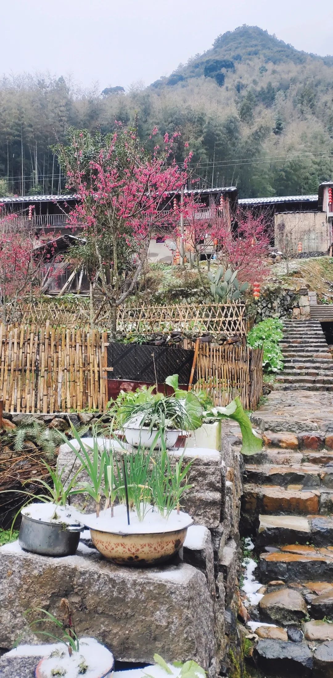 微信图片_20220225091908 微信图片_20220225091908.jpg