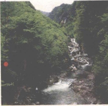 pagenumber_ebook=223,pagenumber_book=215