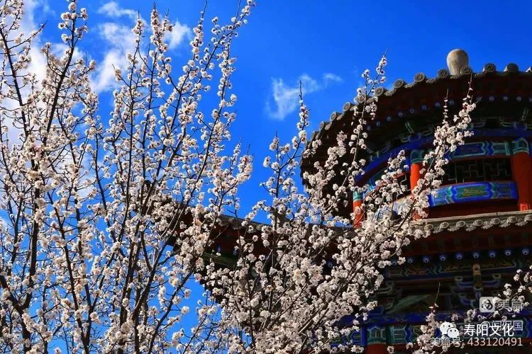 微信图片_20230414095903