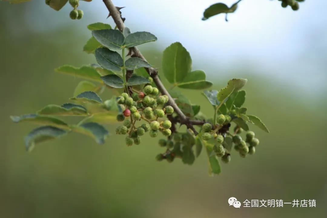 微信图片_20210727093757