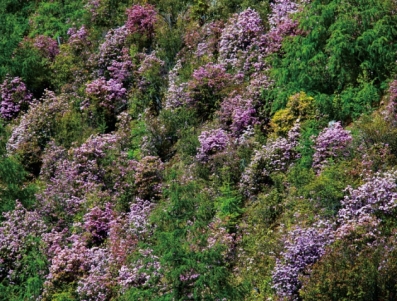 pagenumber_ebook=93,pagenumber_book=81