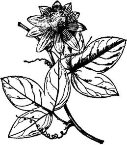 pagenumber_ebook=189,pagenumber_book=189